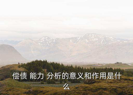 償債能力分析論文