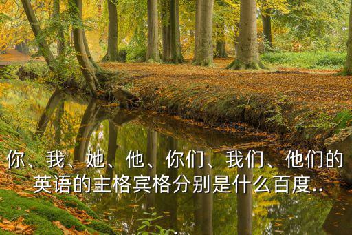他的英語,我和你的中國朋友們在新加坡的聯系