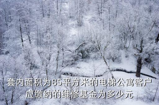 套內(nèi)面積為85平方米的電梯公寓客戶應(yīng)繳納的維修基金為多少元