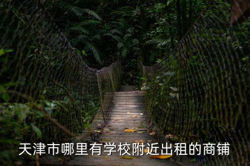 天津市哪里有學校附近出租的商鋪