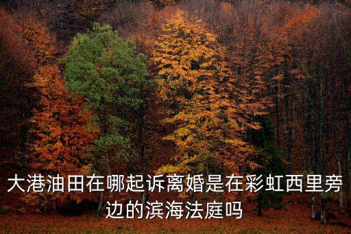 天津市大港區(qū)法院在哪里，天津大港外院在哪