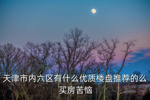 天津市內六區有什么優質樓盤推薦的么 買房苦惱