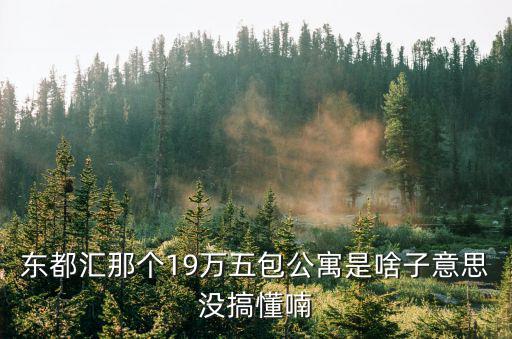 東都匯那個19萬五包公寓是啥子意思沒搞懂喃