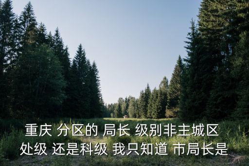 重慶兩江新區領導班子級別，重慶市兩江新區安監局局長是誰