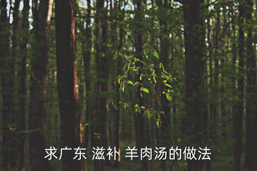 求廣東 滋補(bǔ) 羊肉湯的做法