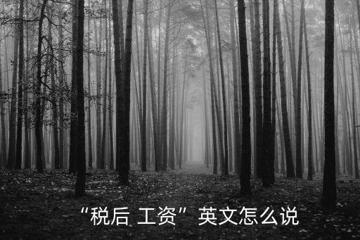 工資英語,稅后工資英語不止一種看法