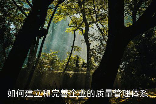 如何建立和完善企業的質量管理體系