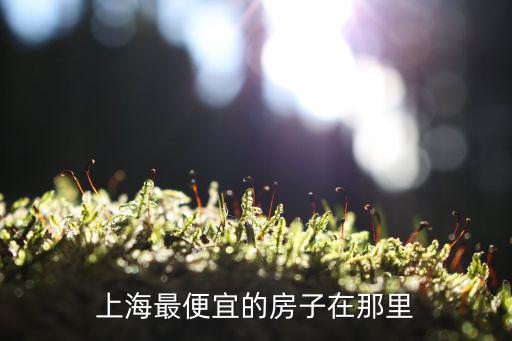上海最便宜的房子在哪個區，上海便宜的房子在哪里