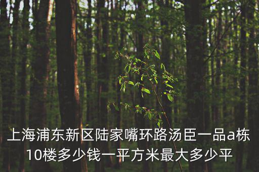 浦東凌港房?jī)r(jià)最新消息新聞，陸家嘴人才公寓真的要給上海紐約大學(xué)當(dāng)宿舍了嗎