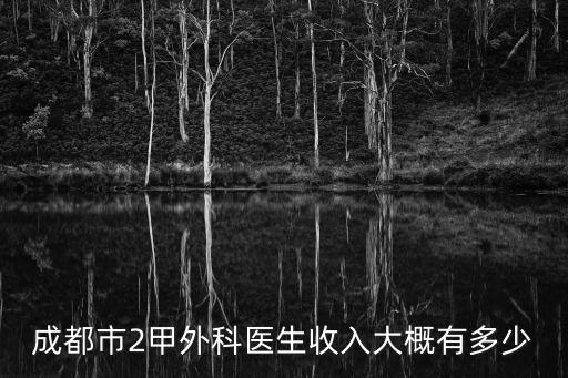 成都市葉昊宇，成都市2甲外科醫生收入大概有多少