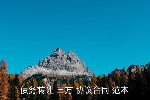 債務轉讓 三方 協議合同 范本