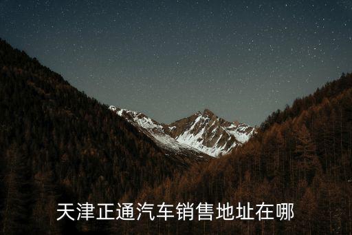 天津正通汽車銷售地址在哪
