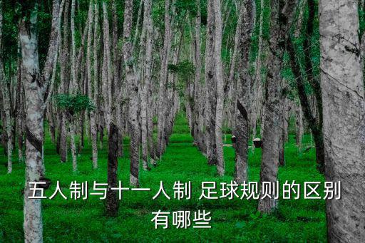 五人制足球,五人制比賽進球次數是十人制兩倍