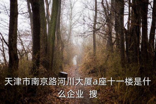 天津市南京路河川大廈a座十一樓是什么企業(yè)  搜