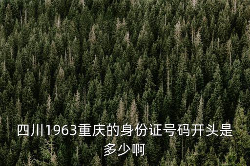四川1963重慶的身份證號碼開頭是多少啊