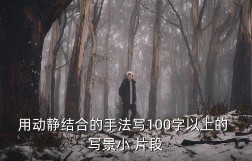 用動靜結合的手法寫100字以上的 寫景小 片段