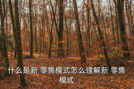 什么是新 零售模式怎么理解新 零售模式