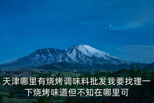 天津哪里有燒烤調(diào)味料批發(fā)我要找理一下燒烤味道但不知在哪里可