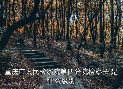 重慶市人民檢察院第四分院檢察長(zhǎng) 是什么級(jí)別
