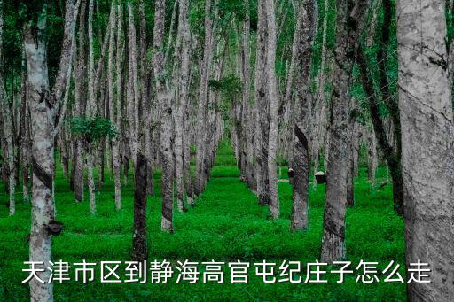 天津市區到靜海高官屯紀莊子怎么走