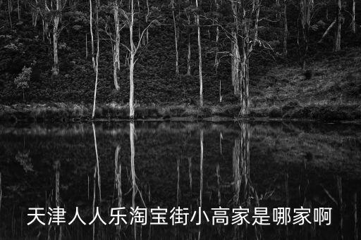 天津人人樂淘寶街小高家是哪家啊