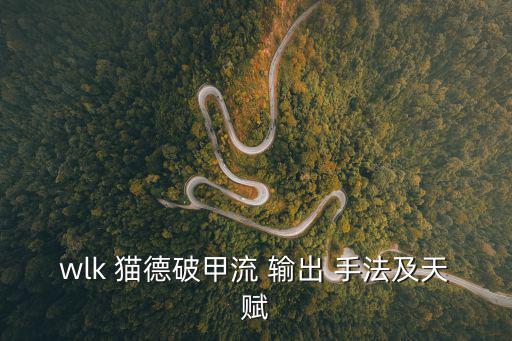 wlk 貓德破甲流 輸出 手法及天賦