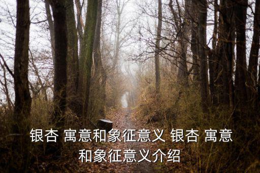  銀杏 寓意和象征意義 銀杏 寓意和象征意義介紹