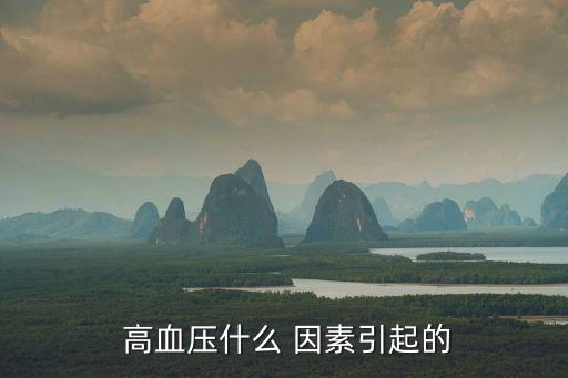  高血壓什么 因素引起的