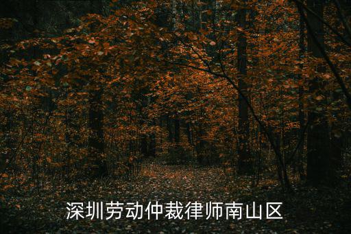 深圳勞動仲裁律師南山區(qū)