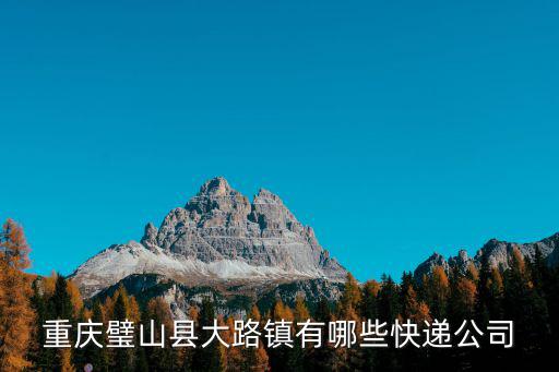重慶璧山縣大路鎮(zhèn)有哪些快遞公司
