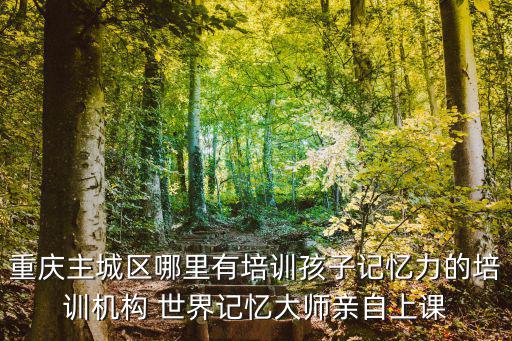 重慶市追光少年，重慶主城區(qū)哪里有培訓(xùn)孩子記憶力的培訓(xùn)機(jī)構(gòu) 世界記憶大師親自上課