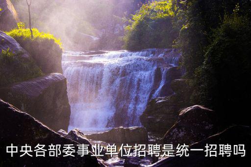中央各部委事業(yè)單位招聘是統(tǒng)一招聘嗎