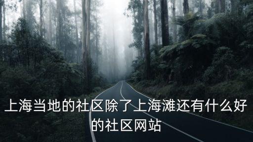 上海本地論壇有哪些，上海當(dāng)?shù)氐纳鐓^(qū)除了上海灘還有什么好的社區(qū)網(wǎng)站