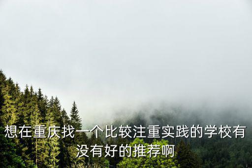 想在重慶找一個比較注重實踐的學(xué)校有沒有好的推薦啊