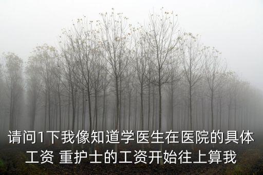 請問1下我像知道學醫(yī)生在醫(yī)院的具體工資 重護士的工資開始往上算我