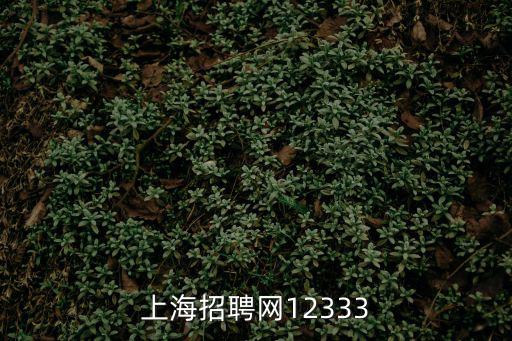上海招聘網(wǎng)12333
