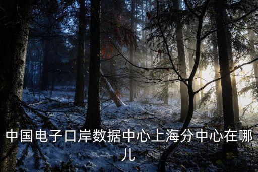 中國電子口岸數(shù)據(jù)中心上海分中心在哪兒