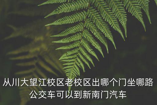 從川大望江校區(qū)老校區(qū)出哪個(gè)門坐哪路公交車可以到新南門汽車