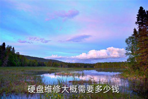 硬盤維修大概需要多少錢