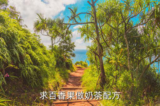 求百香果做奶茶配方
