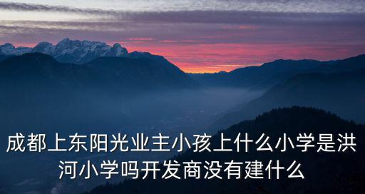 成都上東陽光業主小孩上什么小學是洪河小學嗎開發商沒有建什么