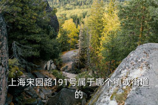 上海宋園路191號屬于哪個鎮或街道的