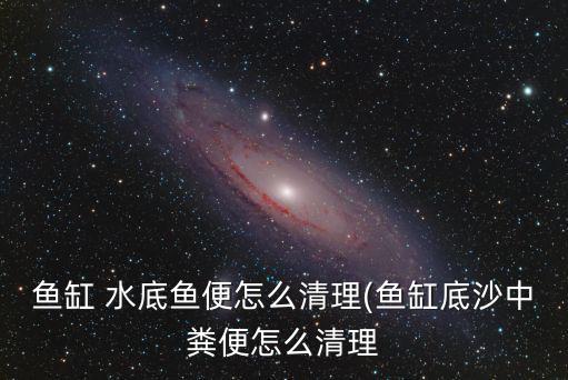 魚缸 水底魚便怎么清理(魚缸底沙中糞便怎么清理
