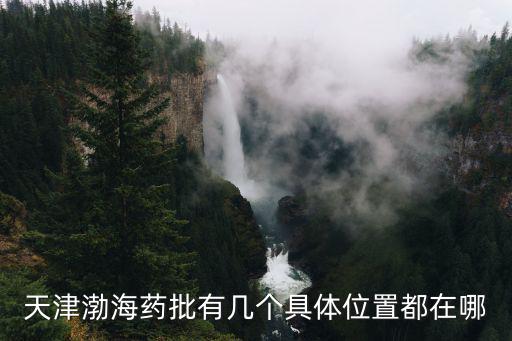 天津市渤海鑫茂制藥設(shè)備有限公司，天津渤海商品交易 席位帳戶發(fā)生資金清算是什么意思