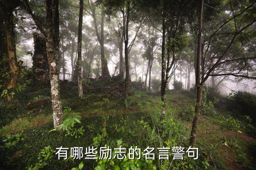 有哪些勵(lì)志的名言警句