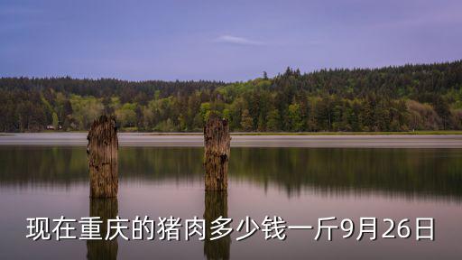 現(xiàn)在重慶的豬肉多少錢一斤9月26日
