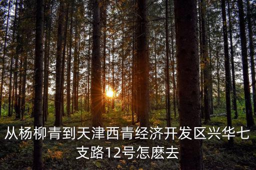 從楊柳青到天津西青經濟開發區興華七支路12號怎麼去