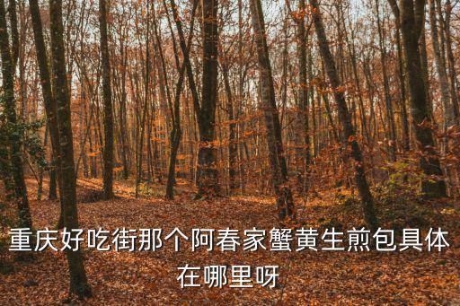 重慶市有沒有蟹黃包，重慶好吃街那個(gè)阿春家蟹黃生煎包具體在哪里呀