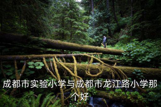 成都市實驗小學(xué)與成都市龍江路小學(xué)那個好