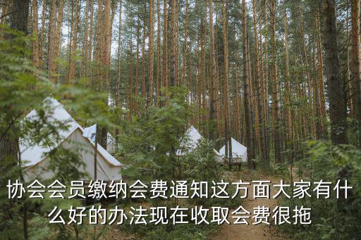 協(xié)會(huì)會(huì)員繳納會(huì)費(fèi)通知這方面大家有什么好的辦法現(xiàn)在收取會(huì)費(fèi)很拖
